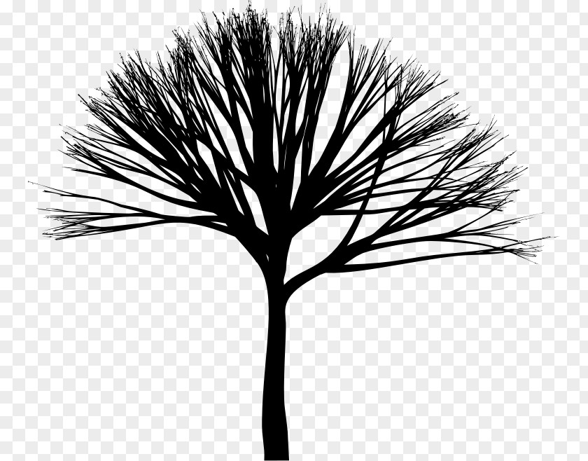 Social Media Twig Clip Art PNG