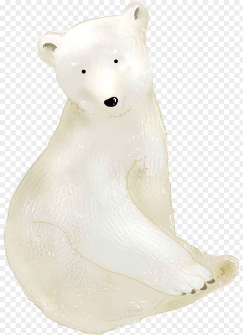 Cute Polar Bear Cuteness PNG