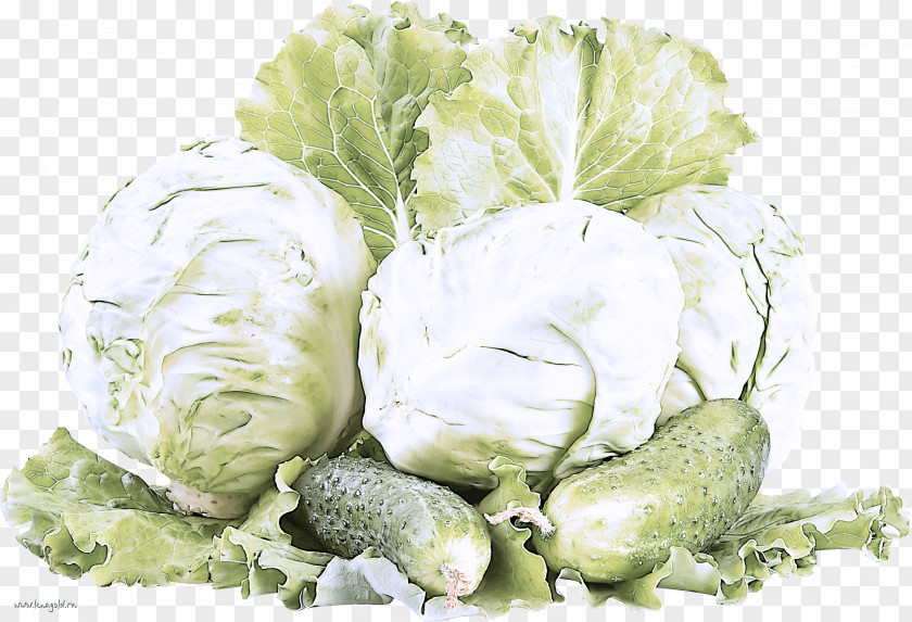 Lettuce Cauliflower PNG