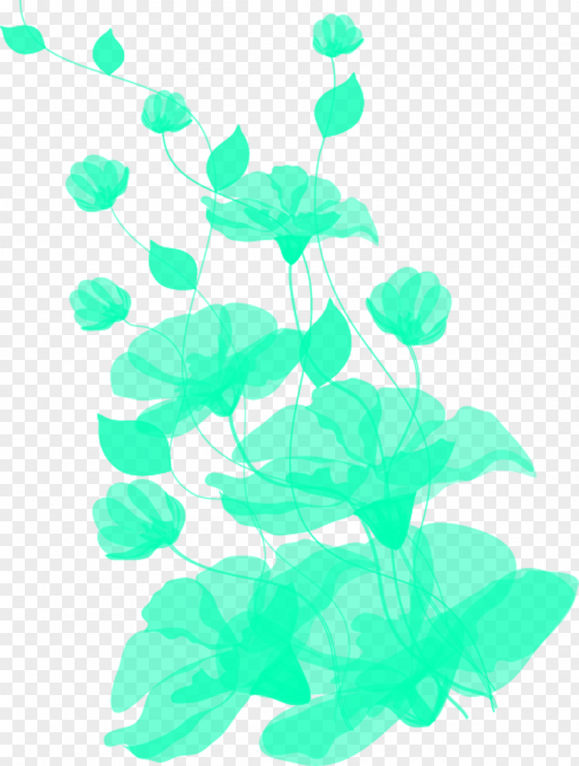 Lotus Flower Wallpaper PNG