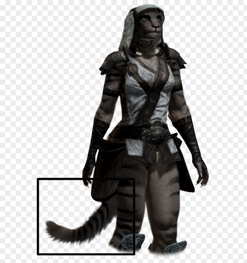 Adornment Tail Hair Character The Elder Scrolls Online Game Engine PNG