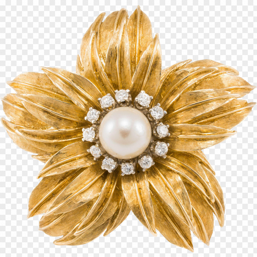 Brooch Pearl Colored Gold Charms & Pendants PNG