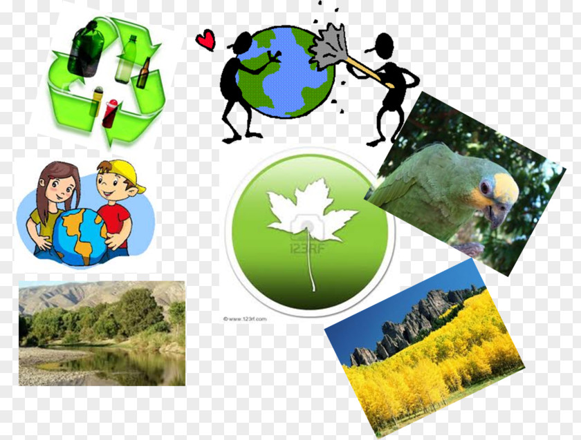 Collage Conservation Movement Natural Environment Nature Resource PNG