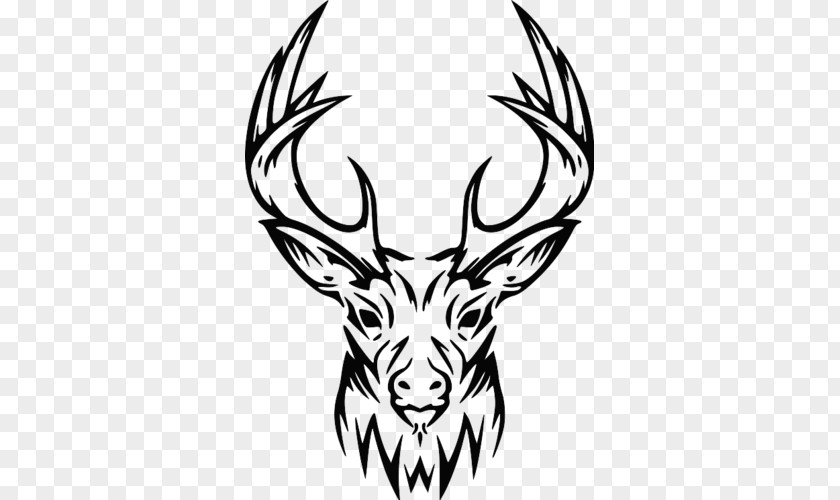 Deer Elk Drawing Antler PNG