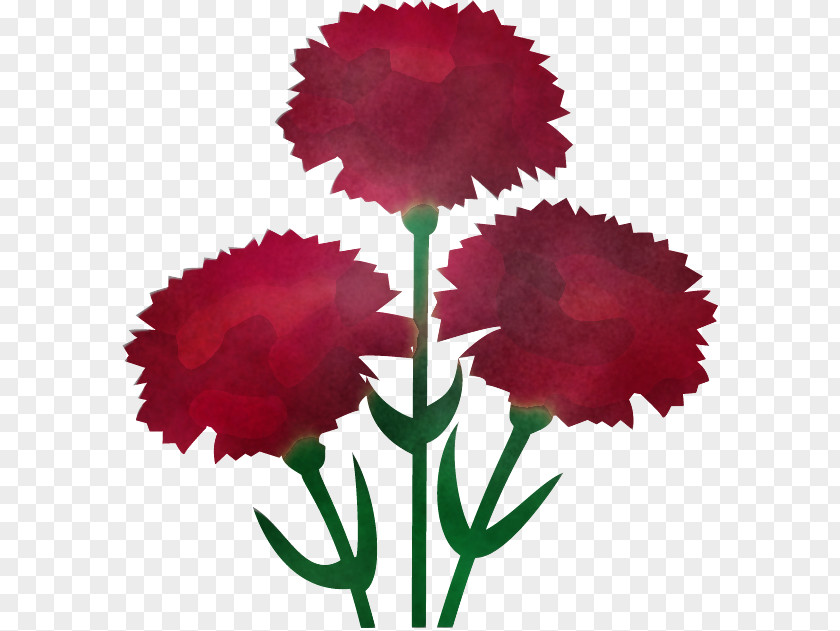 Floral Design PNG