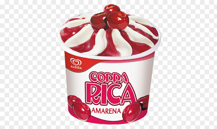 Ice Cream Coppa Rica Algida Häagen-Dazs PNG