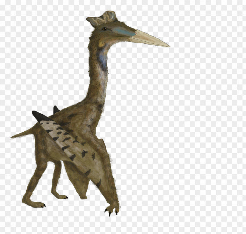 Dinosaur Quetzalcoatlus Hatzegopteryx Maastrichtian Late Cretaceous Arambourgiania PNG
