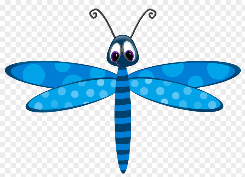 Fly Insect Butterfly Dragonfly The Lion Sleeps Tonight Song PNG