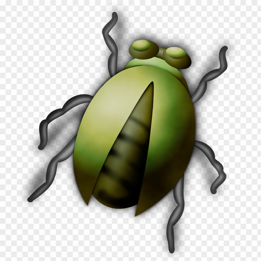 Pest Beetle Insect Transparency Firefly Drawing PNG