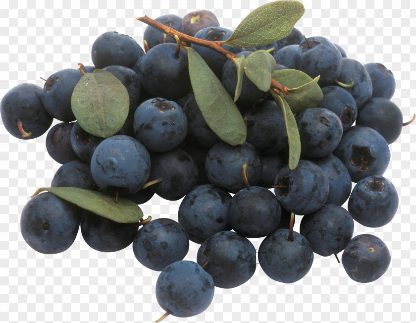 Blueberries Download Blueberry Icon PNG