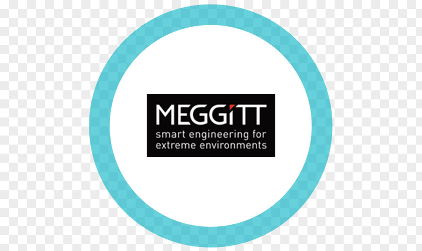 Business Meggitt PLC Organization Aerospace PNG