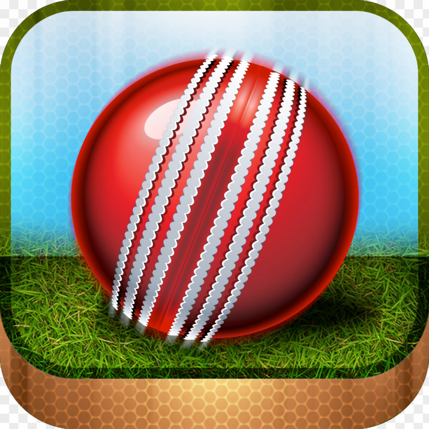 Cricket Academy Banner Bats Ball PNG