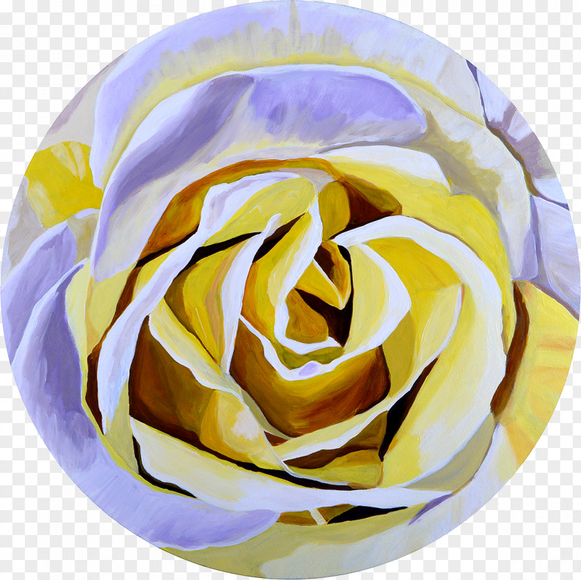 Lemon Meringue Pie Garden Roses Cut Flowers Petal PNG