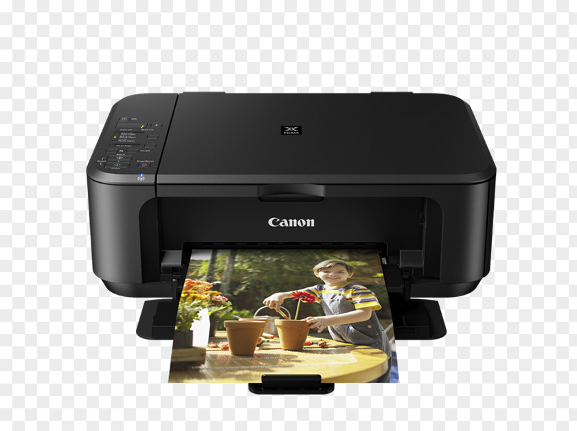 Pv Sindhu Ink Cartridge Multi-function Printer Canon ピクサス PNG