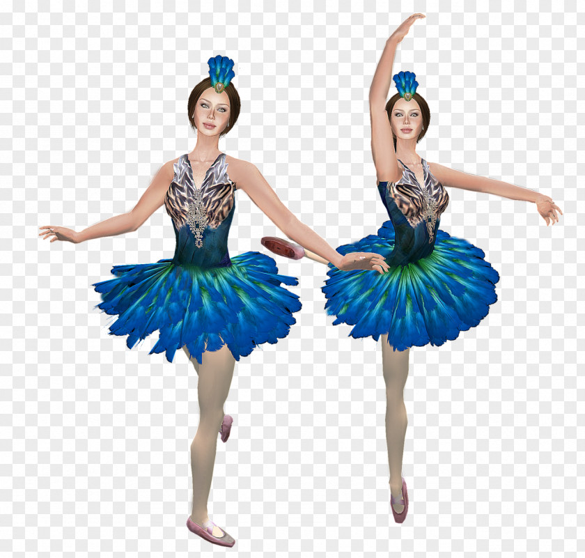 Sleeping Beauty Dance Dresses, Skirts & Costumes Performing Arts Ballet PNG