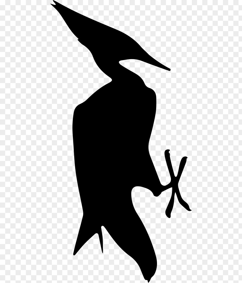 Blackandwhite Wing Bird Silhouette PNG