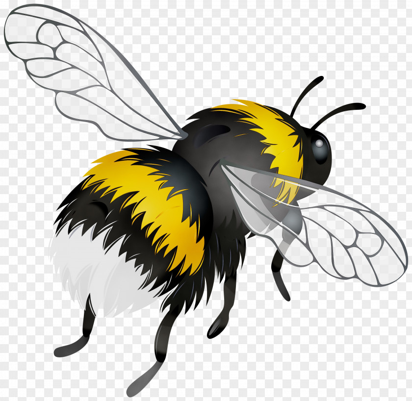 Fictional Character Wing Bee Background PNG