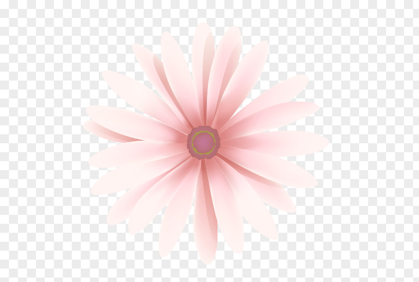 Pink Gerbera Petal Close-up Pattern PNG