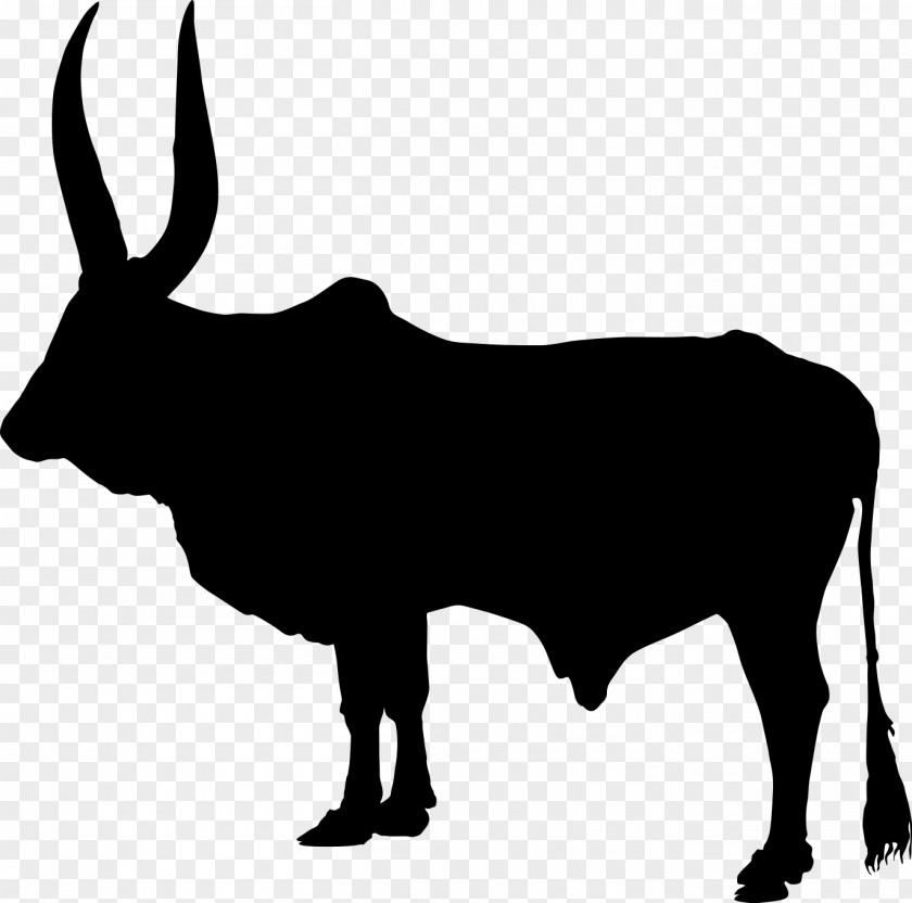 Silhouette Zebu Ox Clip Art PNG