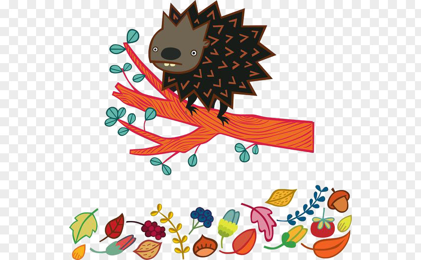 Cartoon Hedgehog Drawing Illustration PNG