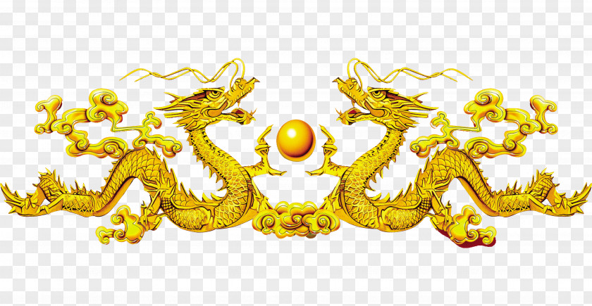 Dragons China Chinese Dragon Art PNG