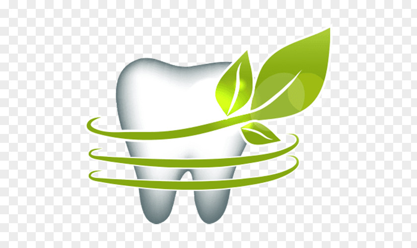 Leaves Surround The Teeth Human Tooth Euclidean Vector Leaf Dentistry PNG