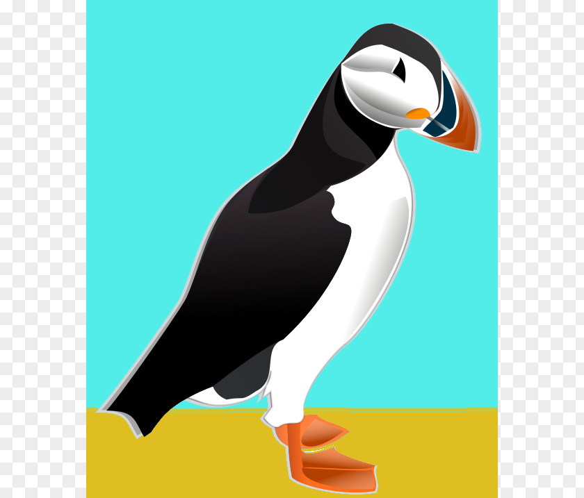 Puffin Cliparts Atlantic Bird Penguin Horned Tufted PNG
