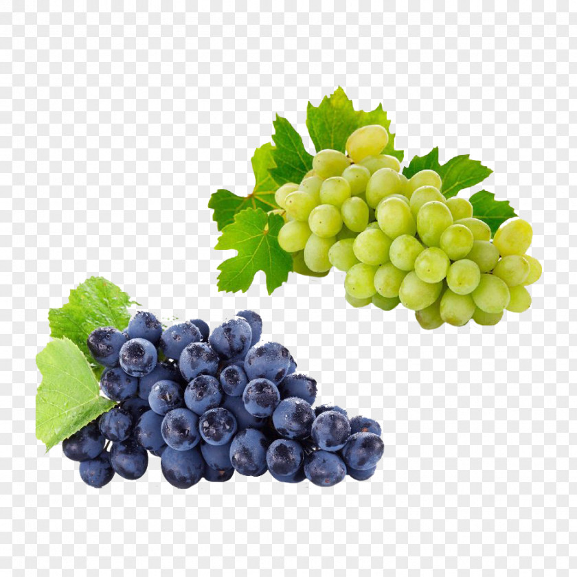 Two Strings Of Grape Material Red Wine Kyoho Zweigelt Concord PNG