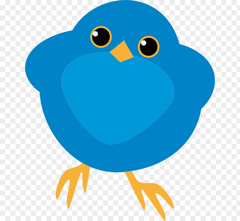 Bird Cartoon Clip Art PNG