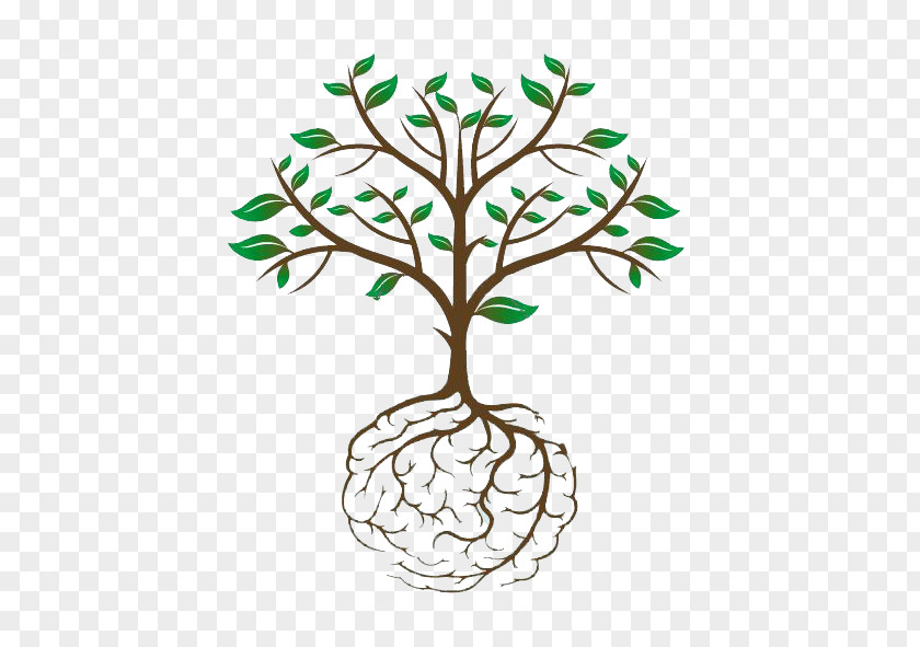 Brain Root Neuron Tree Plant Stem PNG