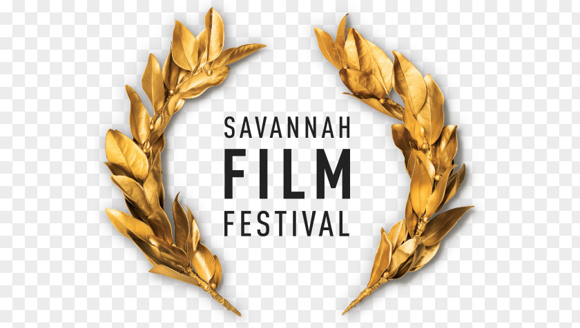 Savannah College Of Art And Design Film Festival Director PNG