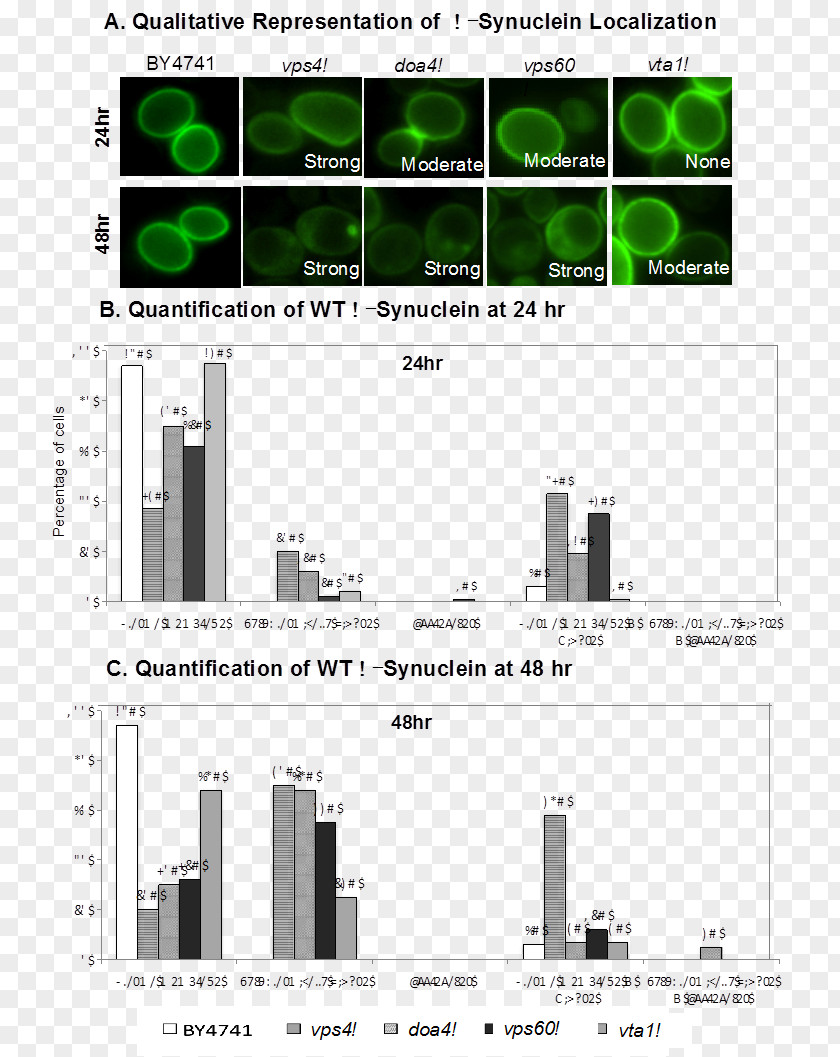 Alpha-synuclein Green Fluorescent Protein Proteopathy Parkinson's Disease PNG