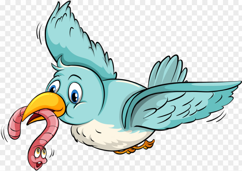 Bird Worm Clip Art PNG