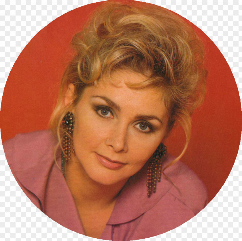 Cheryl Baker Art Museum Lethal Weapon Blond PNG