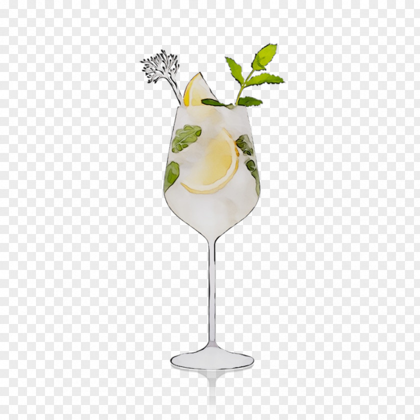 Cocktail Garnish Gin And Tonic Champagne Glass PNG