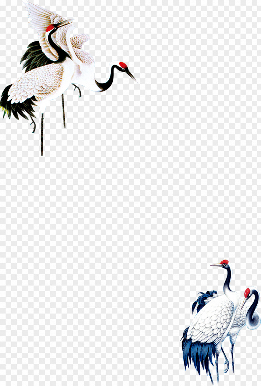 Crane Red-crowned Bird Euclidean Vector PNG