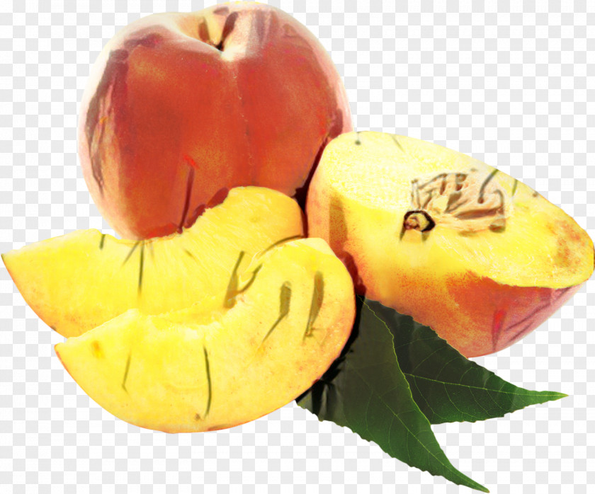 Flower Petal Peach PNG