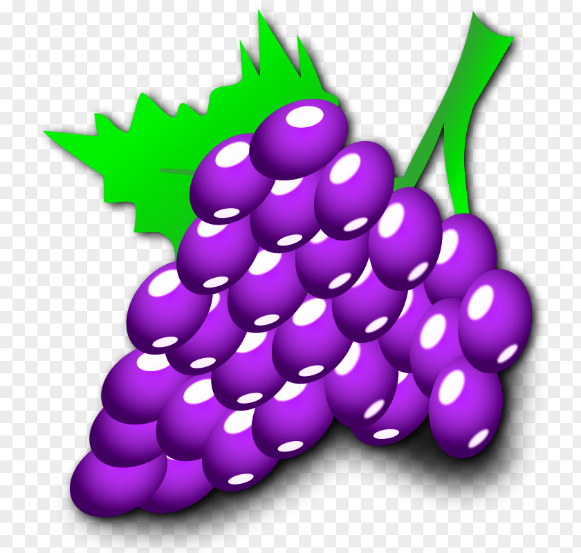 Grapevine Stencil Common Grape Vine Cartoon Clip Art PNG