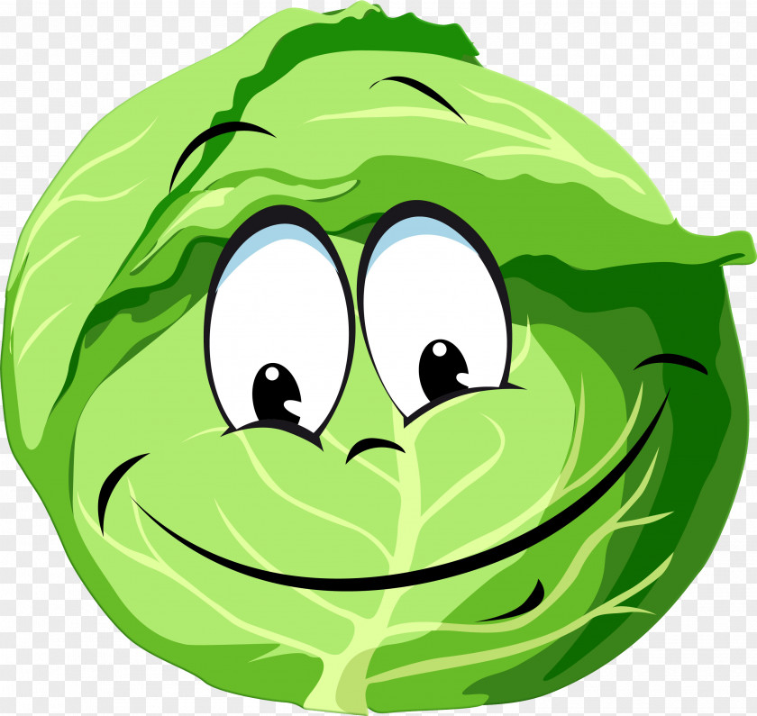 Cabbage Vegetable User Profile Clip Art PNG