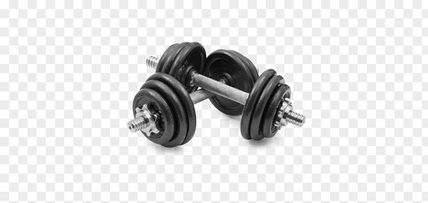 Dumbbell Weight Training Fitness Centre Loss Personal Trainer PNG