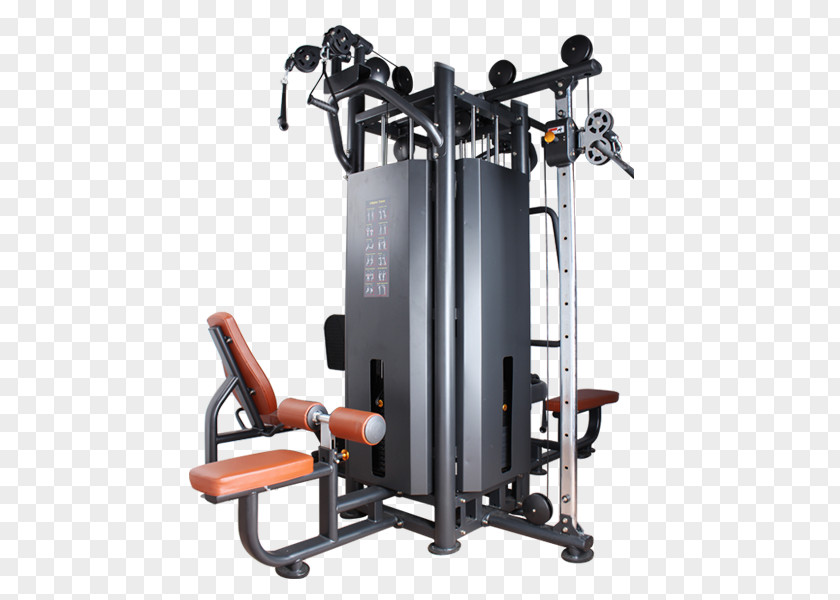 Gym Equipments Fitness Centre Exercise Equipment Bikes Sporting Goods PNG