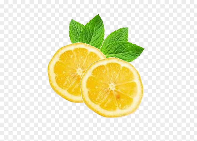 LEMONbalm Lemon Keglevich Juice Food Vitamin C PNG