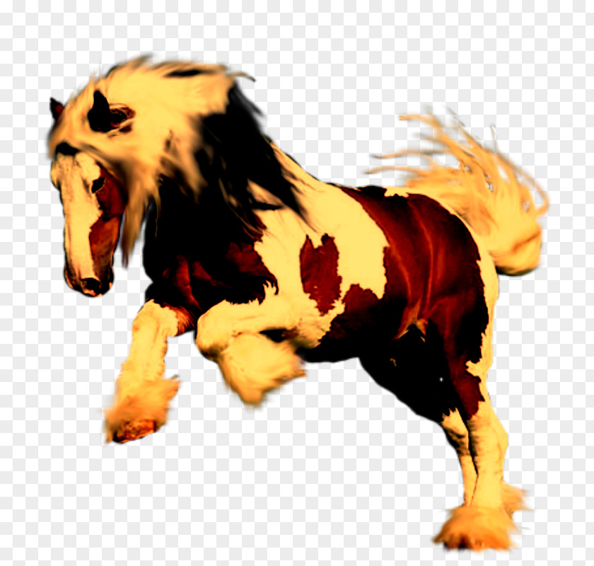 Mustang Mane Pet PNG