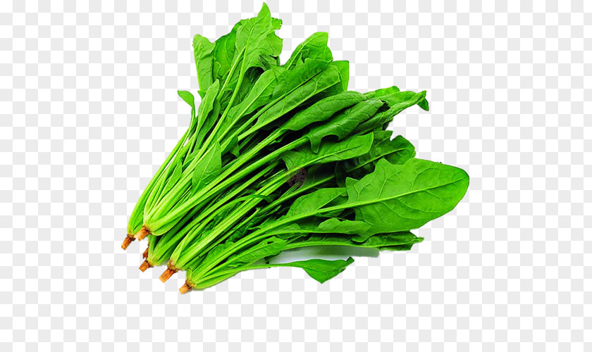 Vegetable Spinach Malatang Food Seed PNG