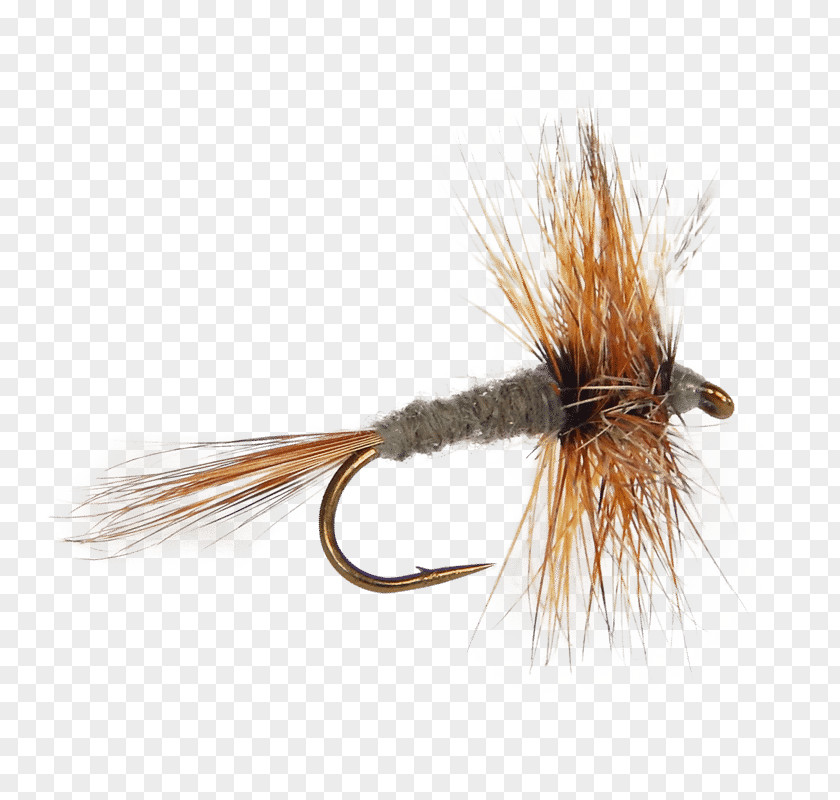 Fishing Fly Mayfly Adams Tying Artificial PNG