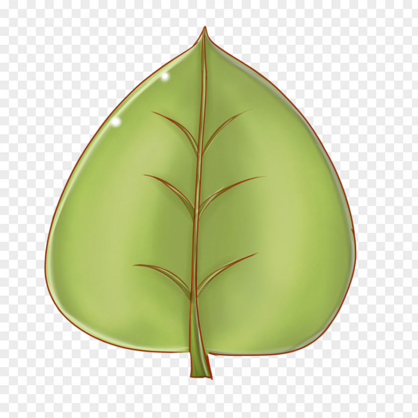 Leaf Cartoon Animation Drawing Clip Art PNG