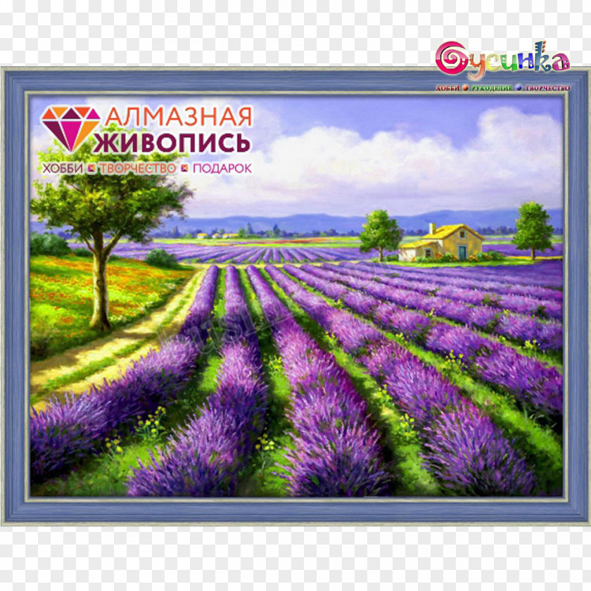 Painting Oil English Lavender Landscape Art PNG