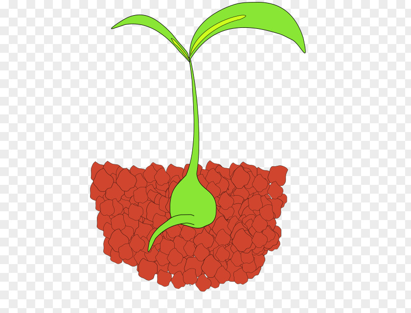 Seedling With Roots Clip Art Sprouting Openclipart PNG