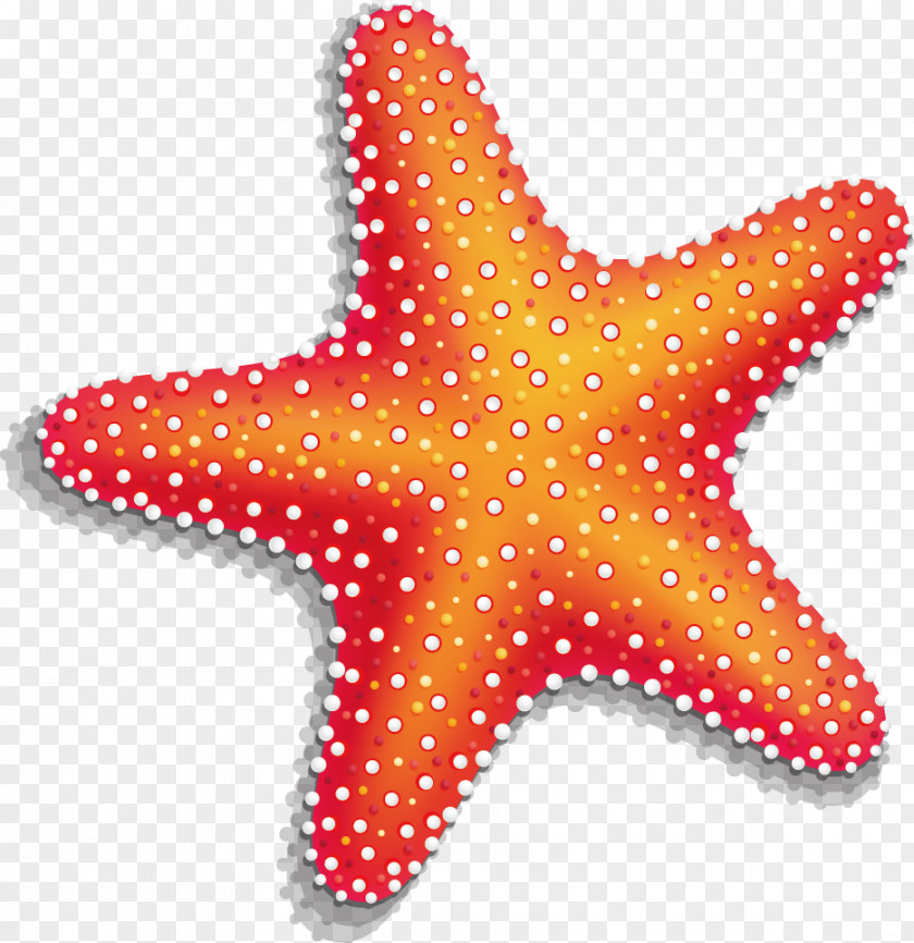 Starfish Material Vector Clip Art PNG