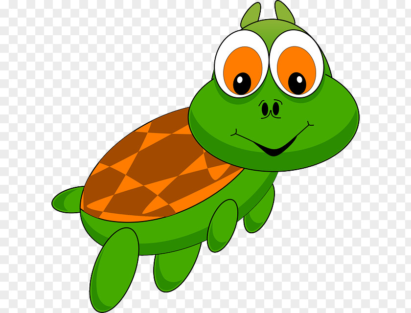 Turtle Green Sea Reptile Animation Clip Art PNG